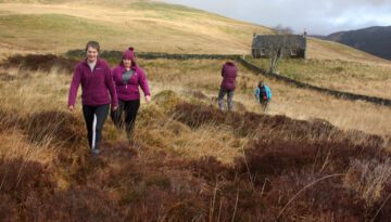 Picture of students walking