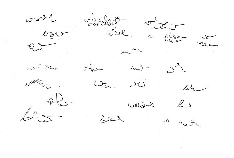 helmut-lemke-birds Picture of a drawing