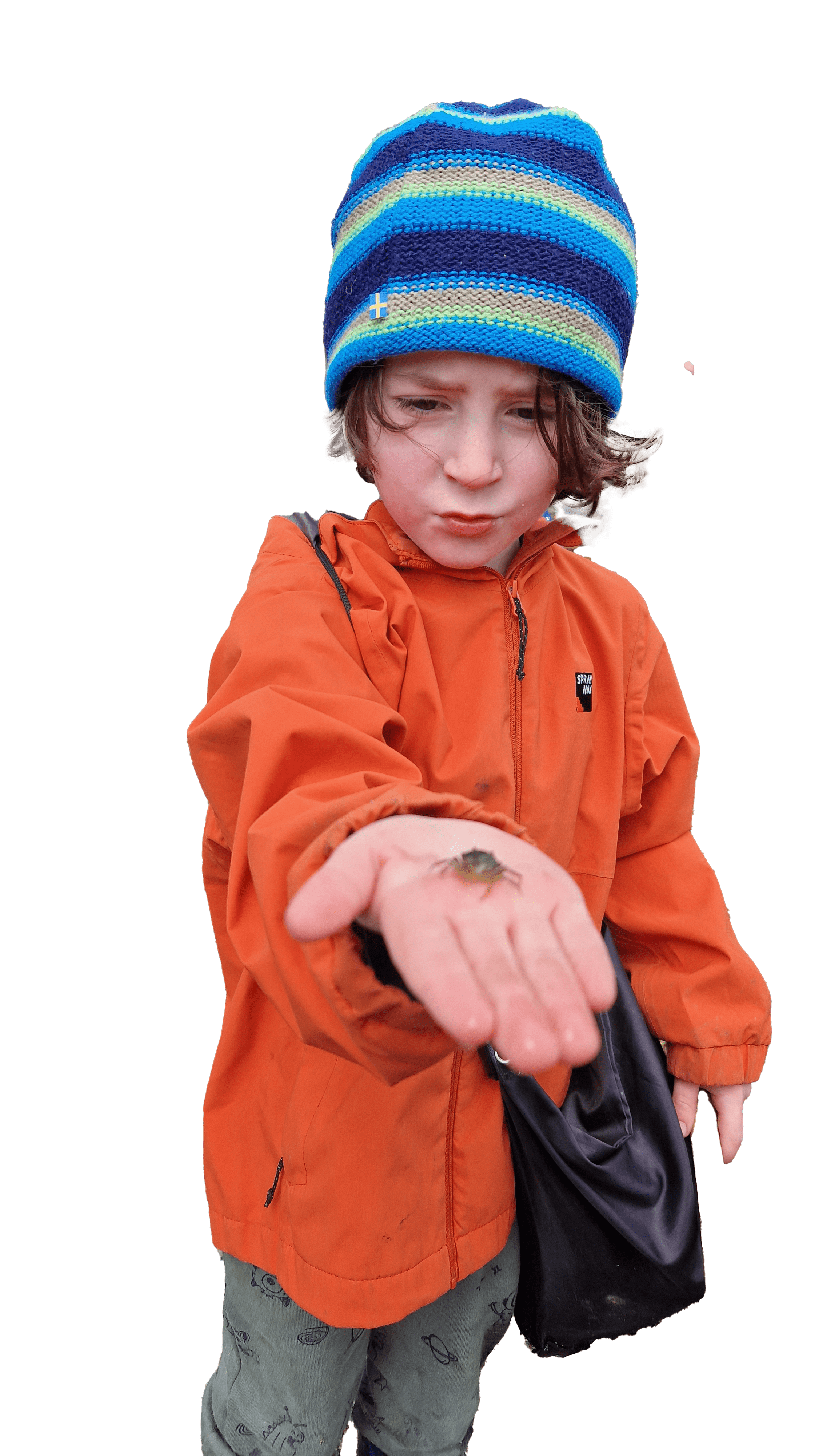 Boy holding Crab